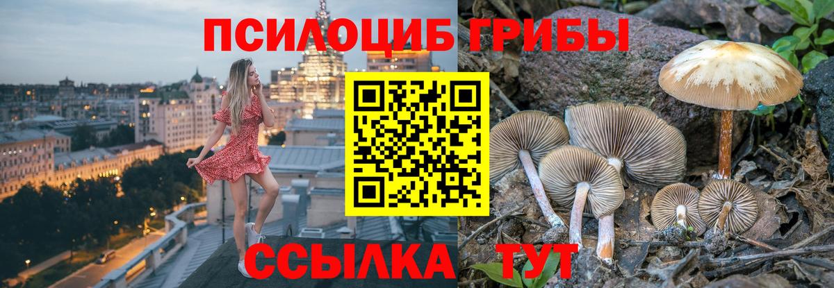 Галлюциногенные грибы ЛСД Каспийск