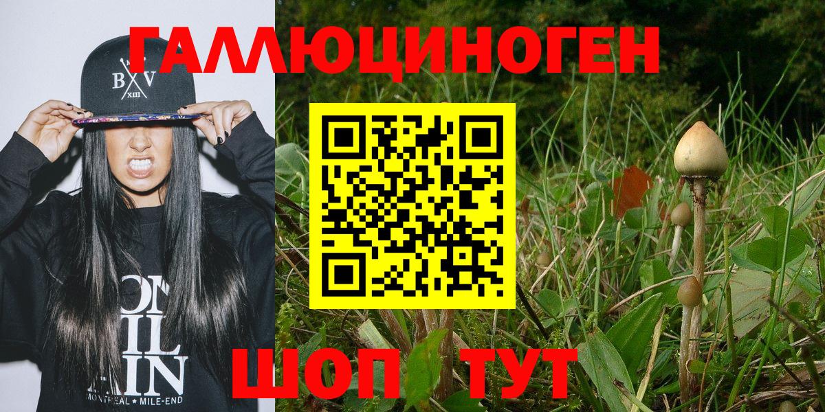 Галлюциногенные грибы мицелий  Вход с VPN  Псилоцибиновые грибы MAGIC MUSHROOMS  Каспийск 